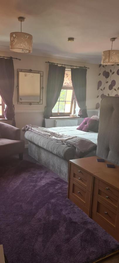 Parc Lodge Guesthouse Bridgend  Dış mekan fotoğraf
